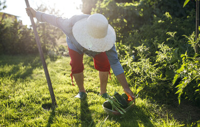 Senior woman with straw hat working in her garden - MGOF000510