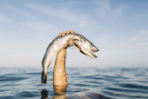 Männerhand hält gefangenen Fisch aus dem Wasser - JRFF000019