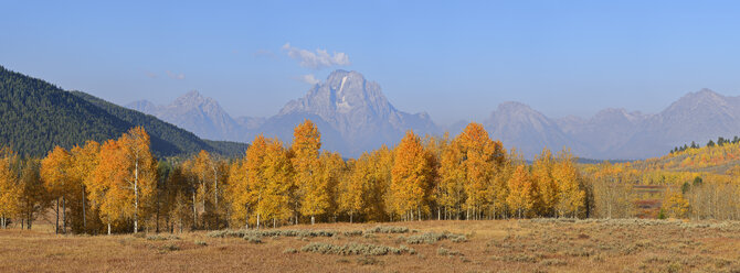 USA, Wyoming, Jackson, Mount Moran und herbstlich gefärbte Espen im Grand Teton National Park - RUEF001625