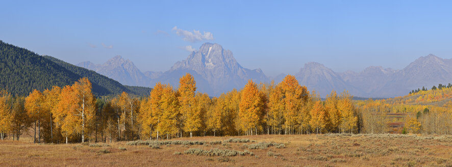 USA, Wyoming, Jackson, Mount Moran und herbstlich gefärbte Espen im Grand Teton National Park - RUEF001625