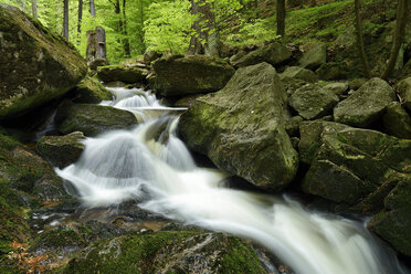 Deutschland, Harz, Ilse im Nationalpark Harz - RUEF001636