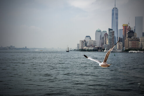 USA, New York City, Blick auf die Skyline von Manhattan und den East River - ONF000887