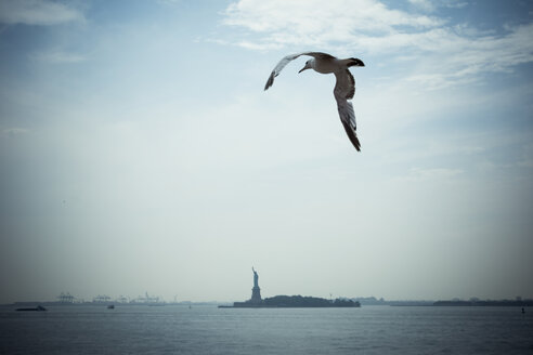 USA, New York City, Möwe fliegt in den Himmel mit Freiheitsstatue im Hintergrund - ONF000888