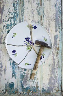 Plate, floral design, gentian, broken, hammer - CRF002712