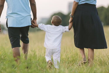 Dreiköpfige Familie beim Spaziergang in einem Feld - MADF000664