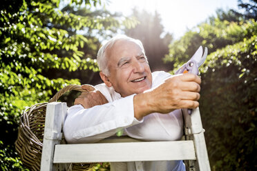 Senior man with basket, pruner and ladder in garden - RKNF000277