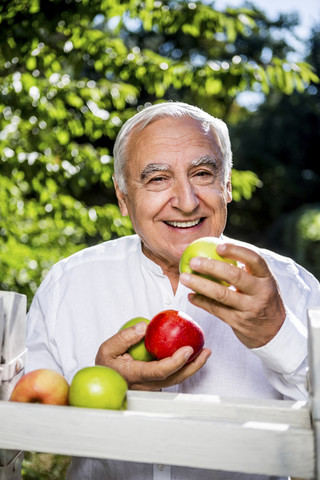 Lächelnder älterer Mann hält Äpfel im Freien, lizenzfreies Stockfoto