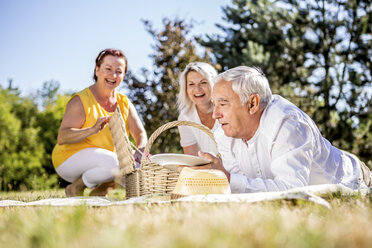 Glückliche ältere Freunde beim Picknick auf einer Wiese - RKNF000319