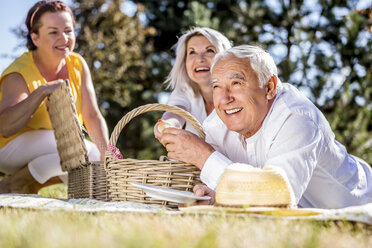 Glückliche ältere Freunde beim Picknick auf einer Wiese - RKNF000320