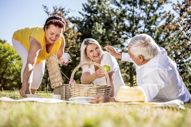 Glückliche ältere Freunde beim Picknick auf einer Wiese - RKNF000322