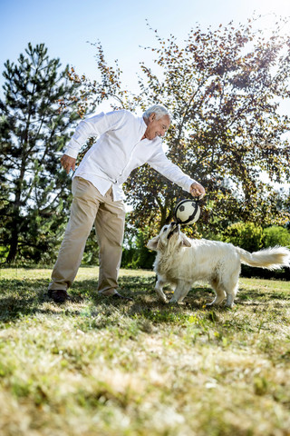 Älterer Mann spielt mit Hund auf einer Wiese, lizenzfreies Stockfoto