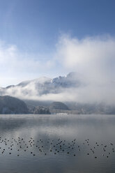 Germany, Bavaria, Lake Kochel, foggy and thaw - CRF002716