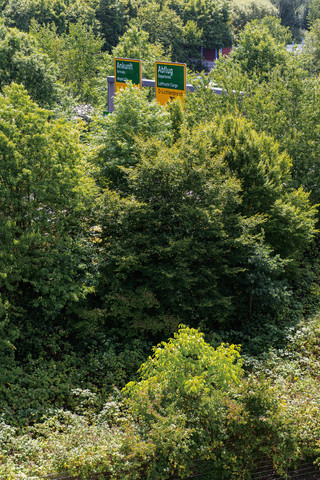 Deutschland, Düsseldorf, Blick auf Straßenschilder zwischen Bäumen, lizenzfreies Stockfoto