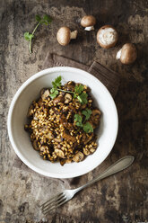 Gerstenrisotto mit Champignon und Koriander - EVGF002172