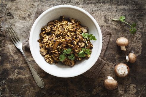 Gerstenrisotto mit Champignon und Koriander - EVGF002176