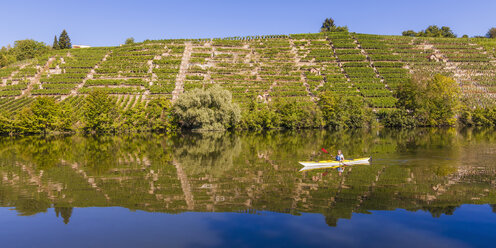 Deutschland, Stuttgart, Frau beim Kajakfahren auf dem Neckar vor den Weinbergen - WDF003251