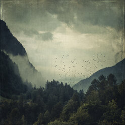 Italy, Lombardy, View to valley and forest in morning mist, flock of birds, textured effect - DWIF000589