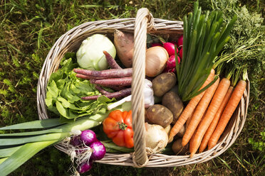 Basket full of organic vegetables - MIDF000637