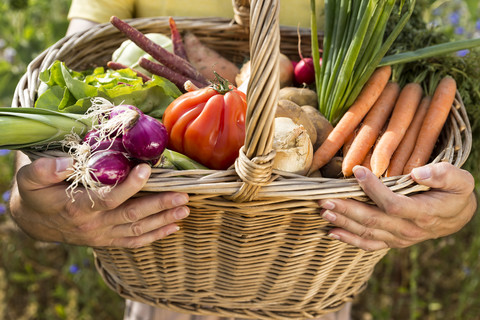 Man holding basket full of organic vegetables stock photo