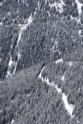 Österreich, Tirol, Ischgl, Bäume in Winterlandschaft - ABF000655