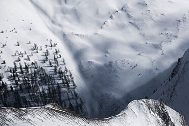 Österreich, Tirol, Ischgl, Bäume in Winterlandschaft - ABF000669