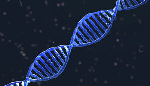 DNA-Molekül - HWIF000006