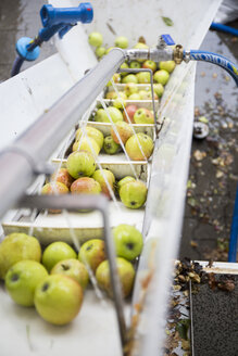 Apples in a mobile squeezer - TKF000414