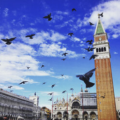 Italiy, Venice, St Mark's Square with pigeons - LVF003802