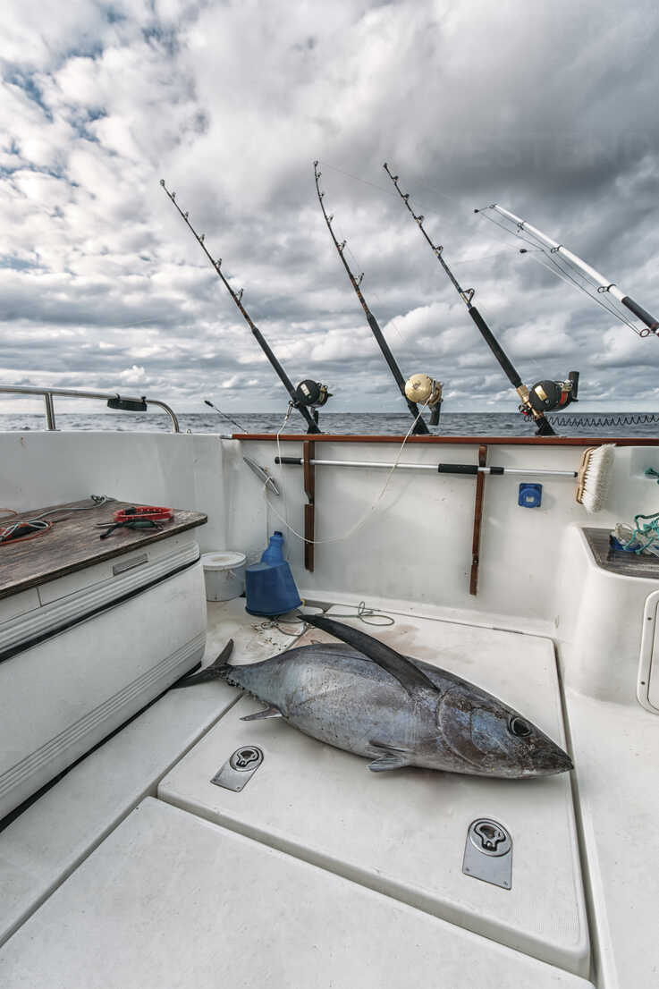 Fishing rods on a tuna fishing boat — Stock Photo © MarcoGovel