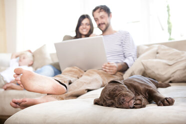 Olde English Bulldogge schläft auf der Couch, während Paar und Sohn im Hintergrund entspannen - MFRF000393