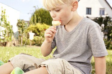Kleiner Junge sitzt auf einer Wiese im Garten und isst einen Eislutscher - MFRF000431