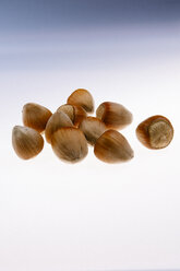 Hazelnuts, white background - AMF004204