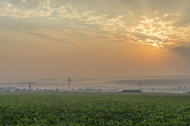 Deutschland, Niedersachsen, Koenigslutter, Sonnenaufgang im Herbst, Nebel - PVCF000667