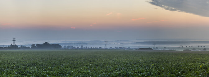 Deutschland, Niedersachsen, Koenigslutter, Sonnenaufgang im Herbst, Nebel - PVCF000666