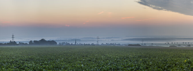Germany, Lower Saxony, Koenigslutter, Sunrise in autumn, fog - PVCF000666