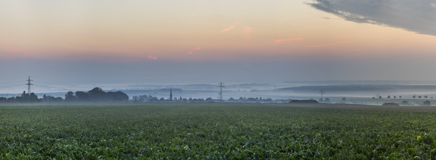 Deutschland, Niedersachsen, Koenigslutter, Sonnenaufgang im Herbst, Nebel - PVCF000666