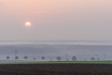 Deutschland, Niedersachsen, Koenigslutter, Sonnenaufgang im Herbst, Nebel - PVCF000665
