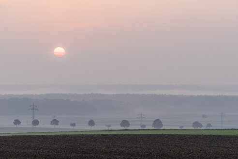 Deutschland, Niedersachsen, Koenigslutter, Sonnenaufgang im Herbst, Nebel - PVCF000665