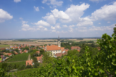 Germany, Bavaria, Castell, vineyard and castle church - SIEF006789