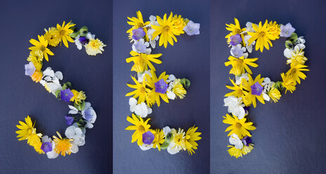 Aus verschiedenen Blüten angeordnete Buchstaben auf blauem Hintergrund - GISF000161