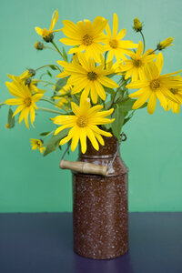 Emaille-Dose mit Sonnenhutblüten vor grünem Hintergrund - GISF000164