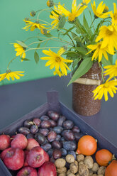 Emaille-Dose mit Sonnenblumen und Holzkiste mit Früchten, Walnüssen und Hokkaidokürbissen - GISF000165