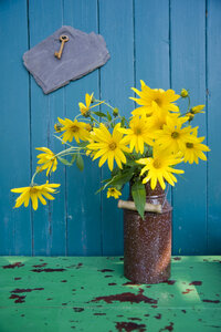 Emaille-Dose mit Sonnenhutblüten vor Holzwand - GISF000166