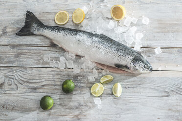 Roher Lachs mit Eis, Limette und Zitronen - DEGF000528