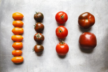 Verschiedene Tomaten, Zebrino, Ebeno, Devotion und gelbe Kirschtomaten - EVGF002274