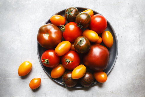 Verschiedene Tomaten, Zebrino, Ebeno, Devotion und gelbe Kirschtomaten - EVGF002275