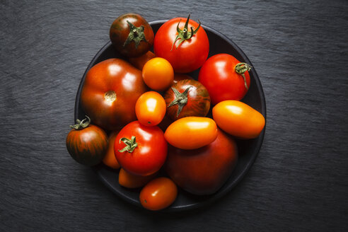 Verschiedene Tomaten, Zebrino, Ebeno, Devotion und gelbe Kirschtomaten - EVGF002276