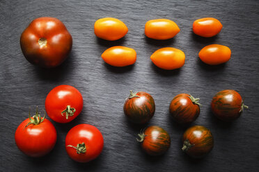 Verschiedene Tomaten, Zebrino, Ebeno, Devotion und gelbe Kirschtomaten - EVGF002277