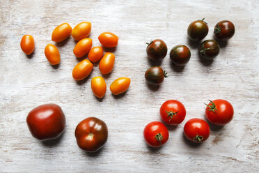 Verschiedene Tomaten, Zebrino, Ebeno, Devotion und gelbe Kirschtomaten - EVGF002278