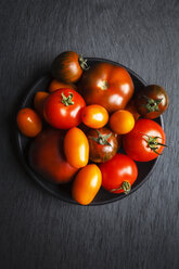 Verschiedene Tomaten, Zebrino, Ebeno, Devotion und gelbe Kirschtomaten - EVGF002284